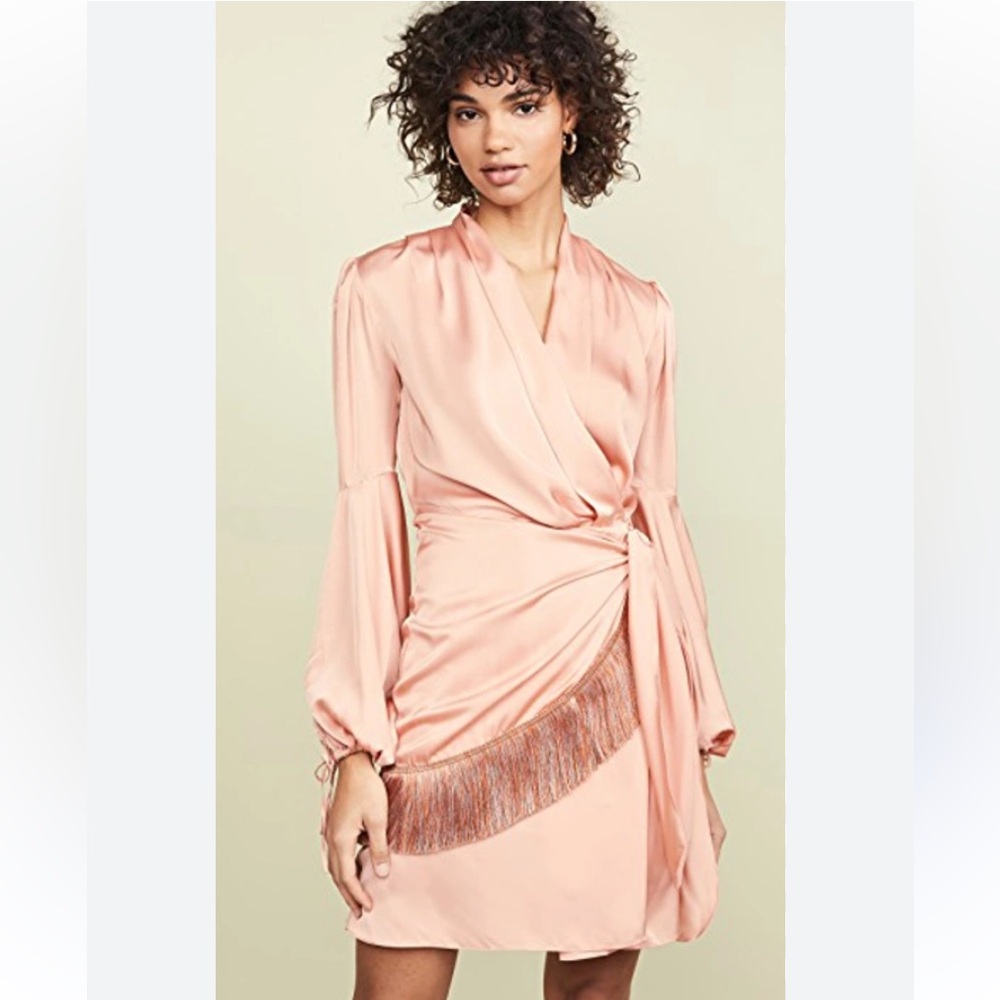 PatBo $650 Fringe Trim Plunge Pink Wrap Long Sleeve Mini Dress Size Small